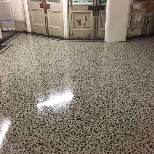 Terrazzo Polishing